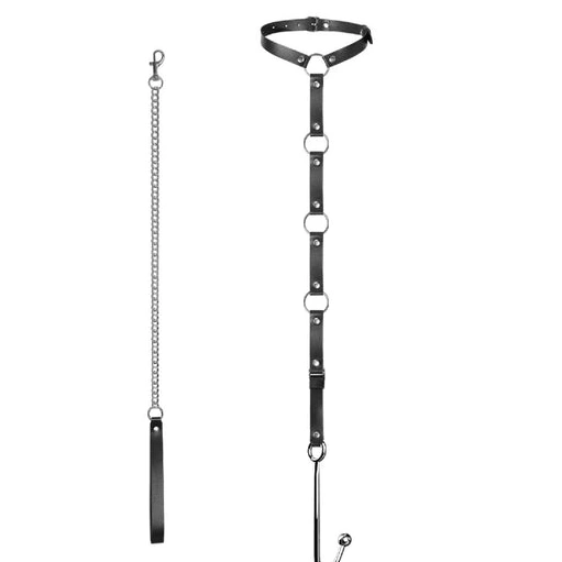 Hook and Kinky Collar EverydayUse with Leash Anal 5853 1030